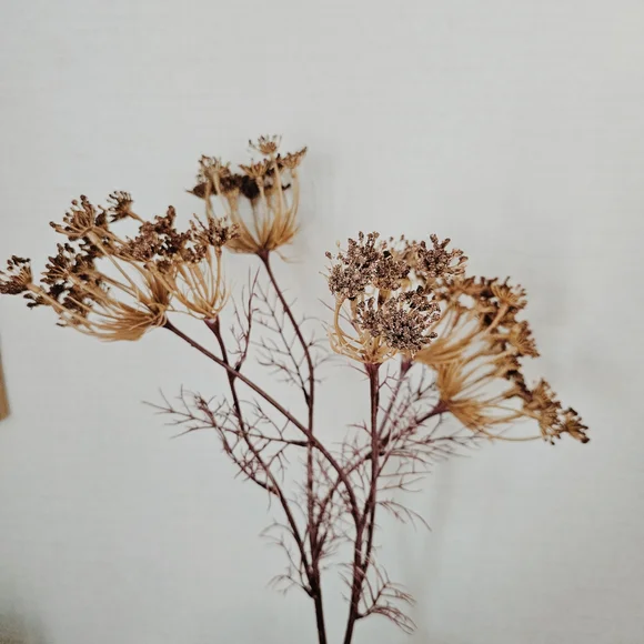 Hearth & Hand Mauve Queen Anne's Mauve Lace Wildflower Stem Set Of 2 - Picture 2 of 4